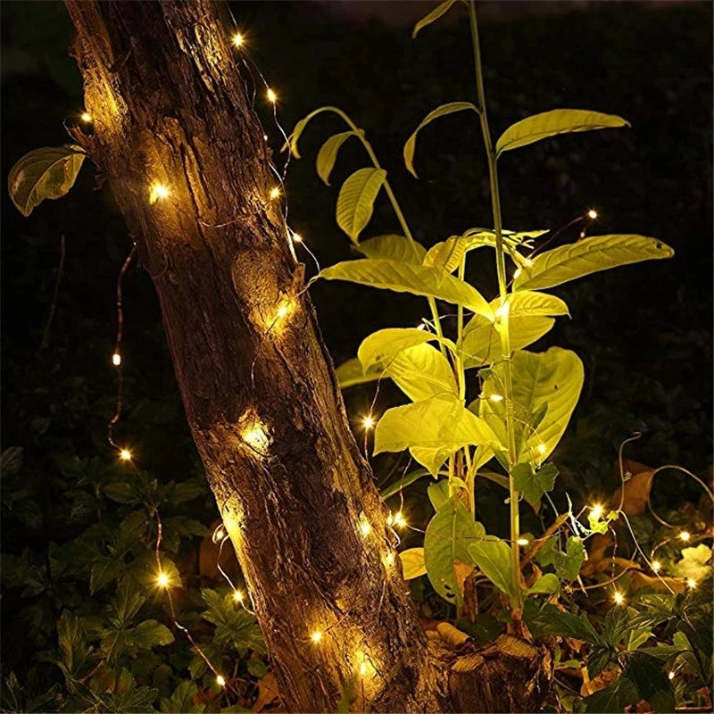 Fairy Lights AA Battery Powered LED Copper Wire String Light Decorative