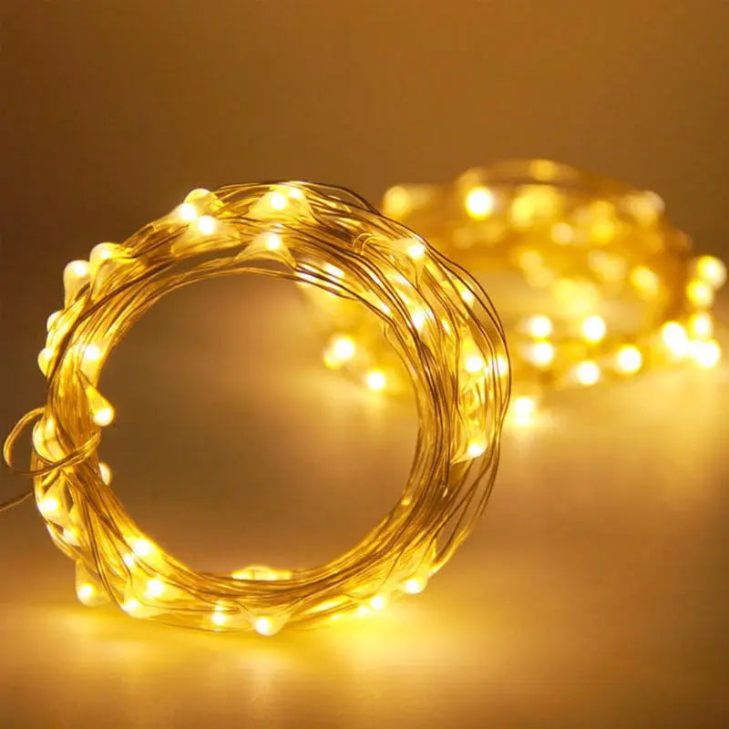 Fairy Lights AA Battery Powered LED Copper Wire String Light Decorative