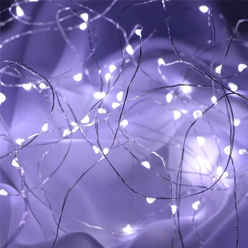 Fairy Lights AA Battery Powered LED Copper Wire String Light Decorative