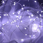 Fairy Lights AA Battery Powered LED Copper Wire String Light Decorative